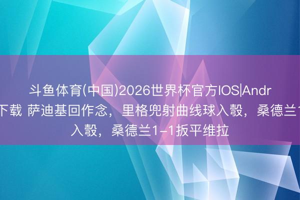斗鱼体育(中国)2026世界杯官方IOS|Android手机app下载 萨迪基回作念,里格兜射曲线球入彀,桑德兰1-1扳平维拉