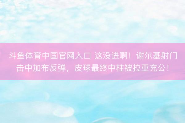 斗鱼体育中国官网入口 这没进啊！谢尔基射门击中加布反弹，皮球最终中柱被拉亚充公！