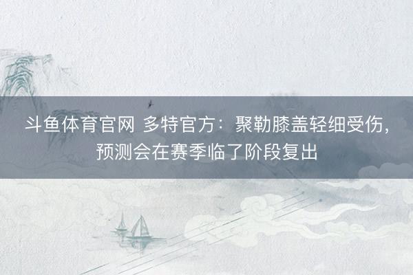 斗鱼体育官网 多特官方:聚勒膝盖轻细受伤,预测会在赛季临了阶段复出