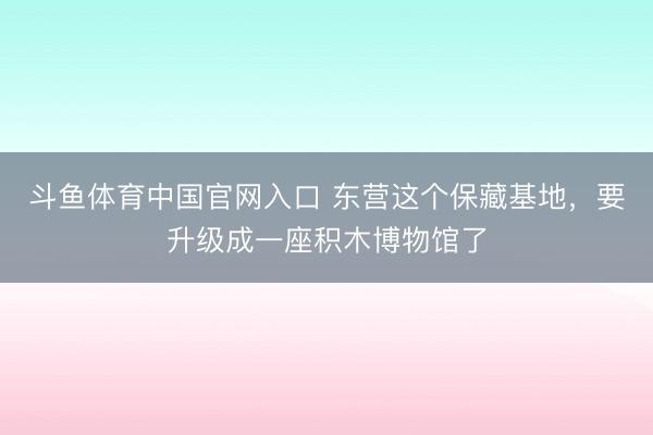 斗鱼体育中国官网入口 东营这个保藏基地,要升级成一座积木博物馆了