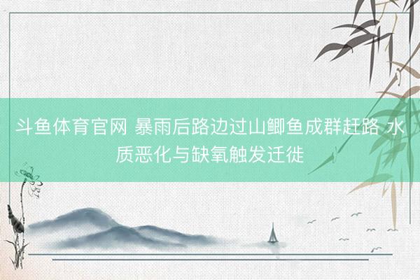 斗鱼体育官网 暴雨后路边过山鲫鱼成群赶路 水质恶化与缺氧触发迁徙