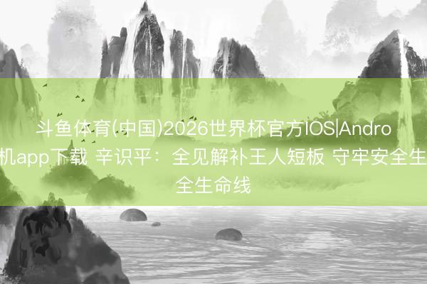 斗鱼体育(中国)2026世界杯官方IOS|Android手机app下载 辛识平：全见解补王人短板 守牢安全生命线
