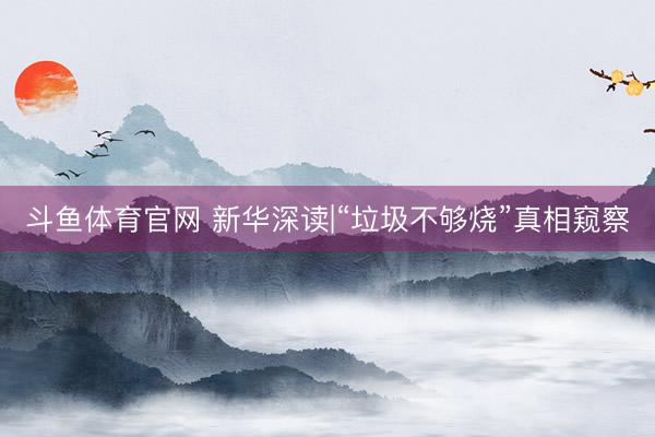 斗鱼体育官网 新华深读|“垃圾不够烧”真相窥察