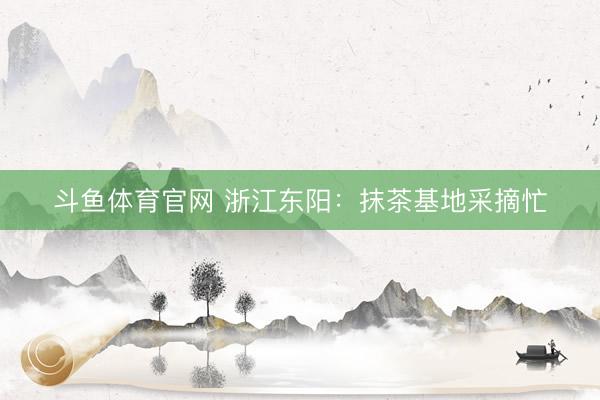 斗鱼体育官网 浙江东阳：抹茶基地采摘忙