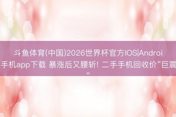 斗鱼体育(中国)2026世界杯官方IOS|Android手机app下载 暴涨后又腰斩! 二手手机回收价“巨震”