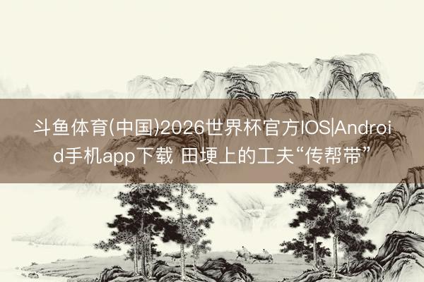 斗鱼体育(中国)2026世界杯官方IOS|Android手机app下载 田埂上的工夫“传帮带”